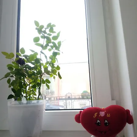 The Red